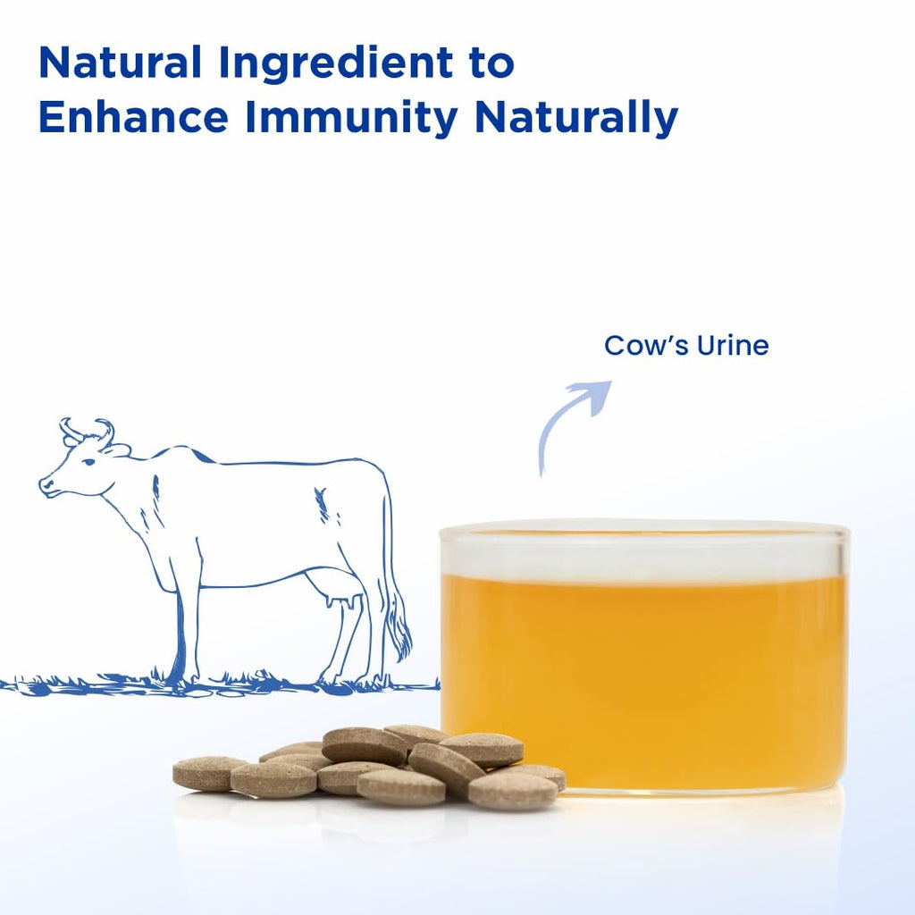 Sri Sri Products Amrutadi Vati Herbo-Mineral Tablet - image 5
