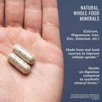 Organixx Clean Sourced Multivitamin with Probiotics - 90 Capsules - image 11