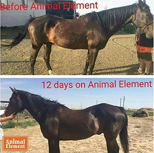 Animal Element Foundation Daily Detox-50 lb. - image 2
