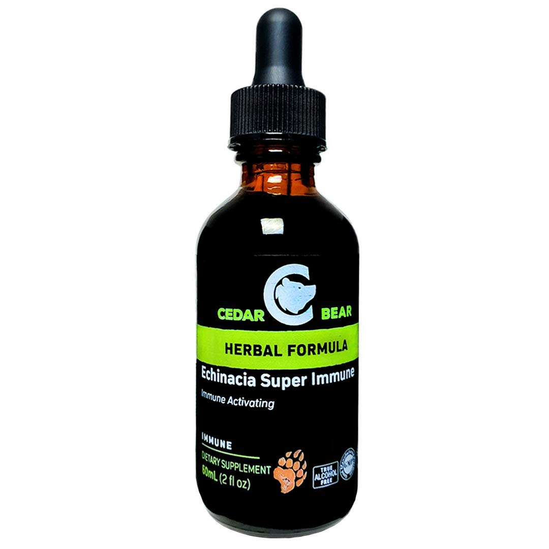 Cedar Bear Echinacea Liquid Herbal Supplement