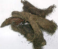 TRH Jatamasi Spikenard Musk Root Herbal Supplement - 200g