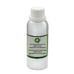 R V Essential Black Seed Oil Nigella Sativa Carrier Oil - 42 Fl Oz - image 2