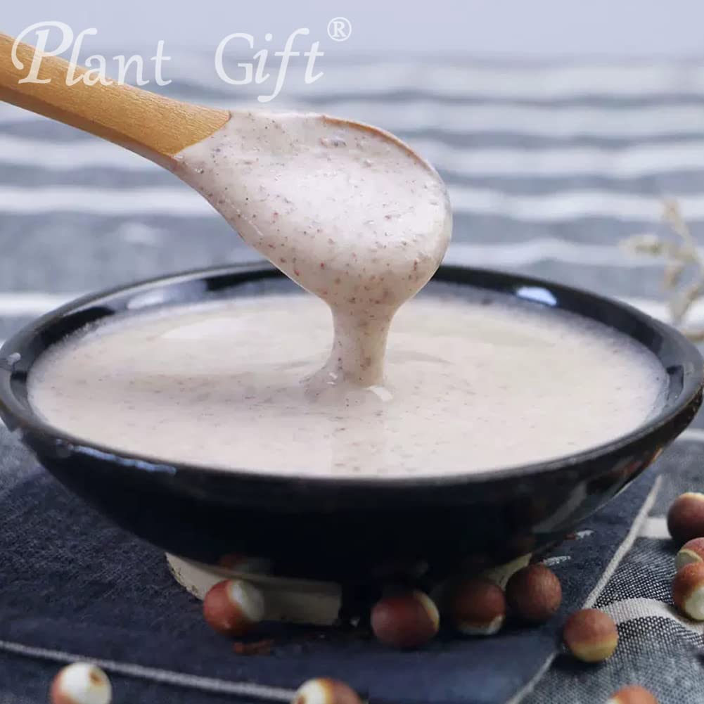 Plant Gift 100% Pure Euryales Powder - 100g - image 7