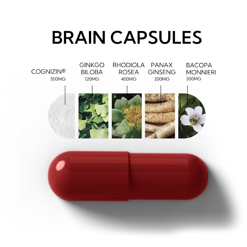 Neutonic Nootropic Brain Supplement for Focus & Memory - 90 Capsules - image 3