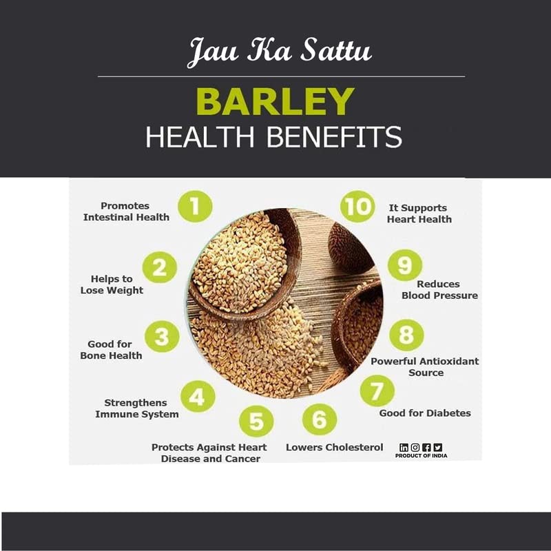 GHOTARAM Jau Barley Sattu Powder - 240g - image 4