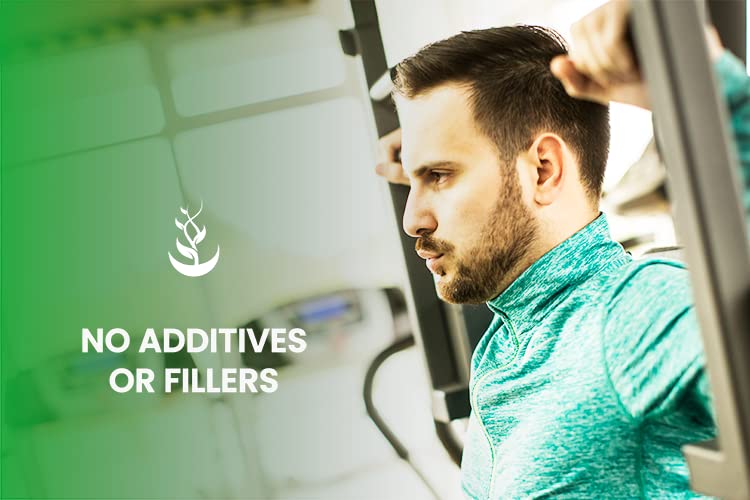 PURE ORIGINAL INGREDIENTS L-Glutamine (730 Capsules) No Magnesium Or