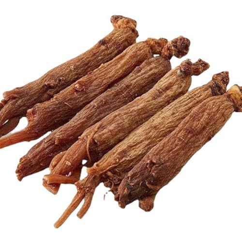 CHLYAET Red Korean Ginseng Roots Red Ginseng Hongshen