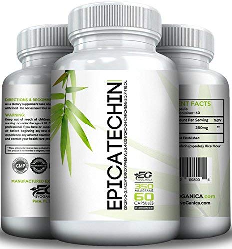 EVOGANICA Epicatechin 350mg - 60 Capsules