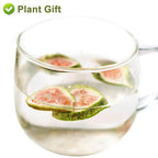 Plant Gift Dried Figs Natural Snack - 45g - image 8