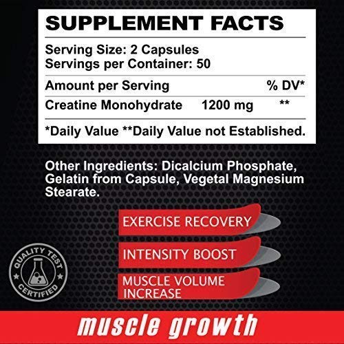 ALFA VITAMINS Maximum Creatine Monohydrate 1200 mg - 100 Capsules - image 2