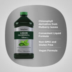 Piping Rock Liquid Chlorophyll 100mg - 16 fl oz - image 4