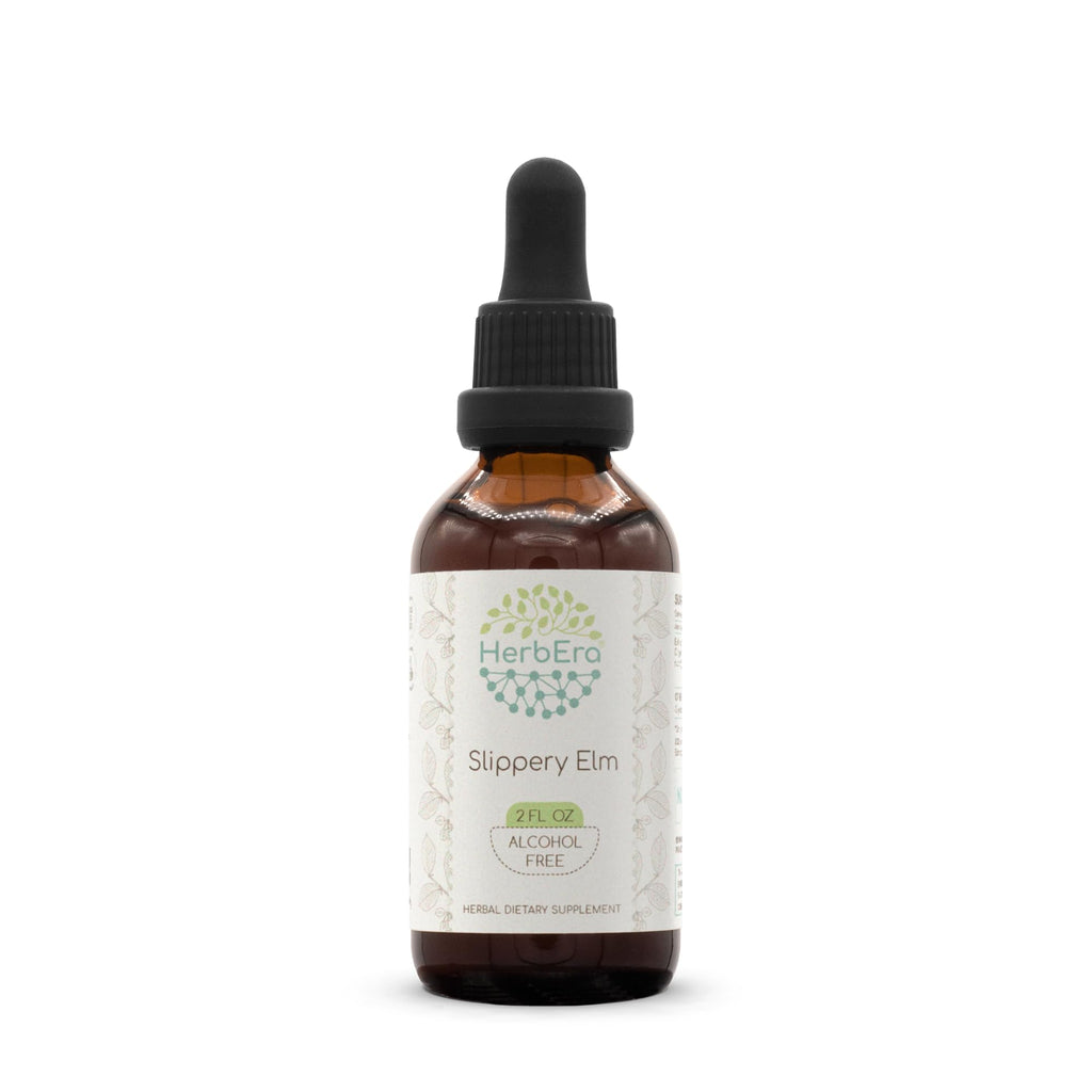 HerbEra Slippery Elm Alcohol-Free Herbal Extract Tincture