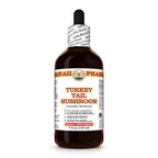 Hawaii Pharm Turkey Tail Mushroom (Trametes versicolor) Liquid Extract