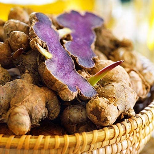 Addictive Wellness Black Ginger Capsules Energy Support - 500 Count - image 9