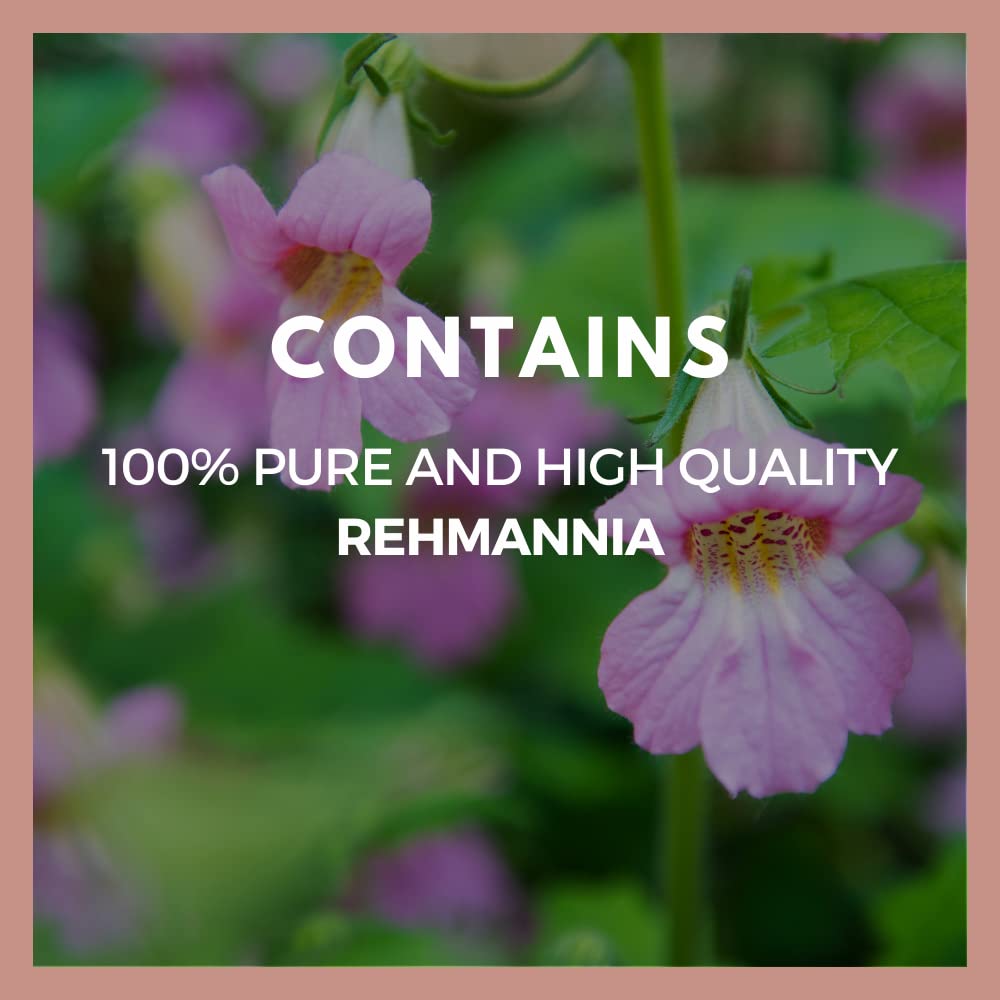 Remedy's Nutrition Rehmannia Root 1000 mg - 60 Vegan Capsules - image 4