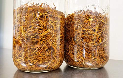Half Hill Farm Cordyceps Mushroom Dual Extract - 6.76 oz - image 3