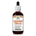 Hawaii Pharm Chinese Thuja (Platycladus orientalis) Seed Alcohol-Free