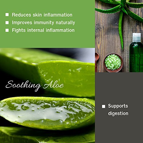 HERBAL HILLS Aloe Vera Capsules 500 mg - 120 Capsules - image 5