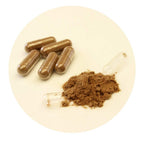 Umi No Shizuku Fucoidan Capsule Immune Support - image 3