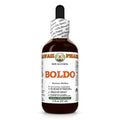 Hawaii Pharm Boldo Leaf Alcohol-Free Extract - 2 fl oz