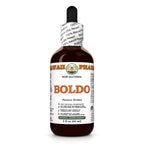 Hawaii Pharm Boldo Leaf Alcohol-Free Extract - 2 fl oz