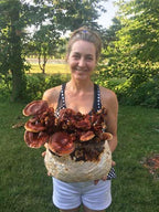Gallboys Reishi Mushroom Indoor Growing Kit - 1 Count