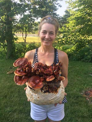 Gallboys Reishi Mushroom Indoor Growing Kit - 1 Count