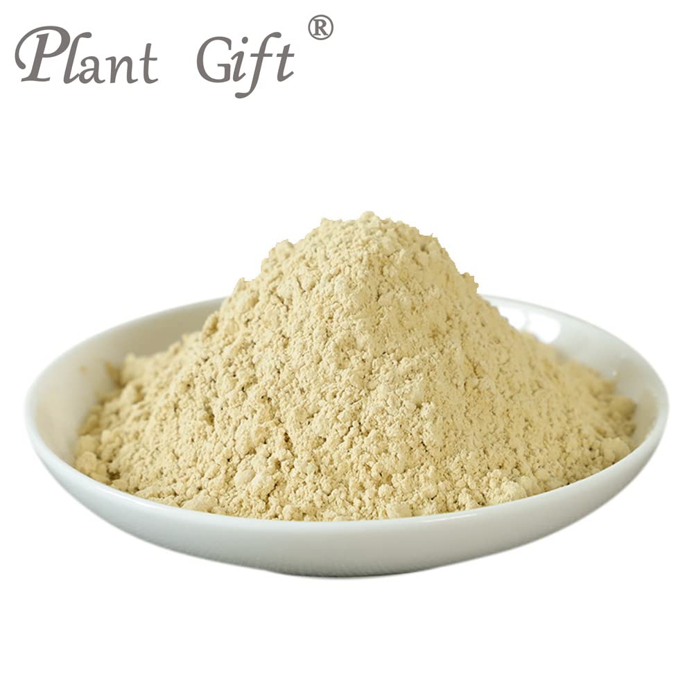 Plant Gift Hericium Mushroom Powder - 100g - image 2