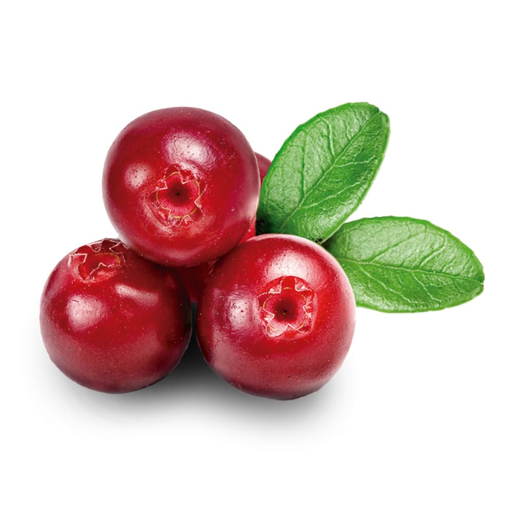 OliveNation Pure Cranberry Extract - image 4