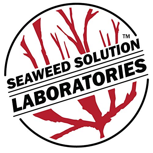 Seaweed Solution Laboratories Malt Yeast Peptone Agar for Mushrooms - 24g - image 4