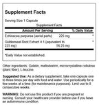 Swanson Echinacea with Goldenseal Root Immune Support - 250 Capsules - image 3