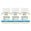 21st Century Iron 65 mg Ferrous Sulfate - 120 Tablets