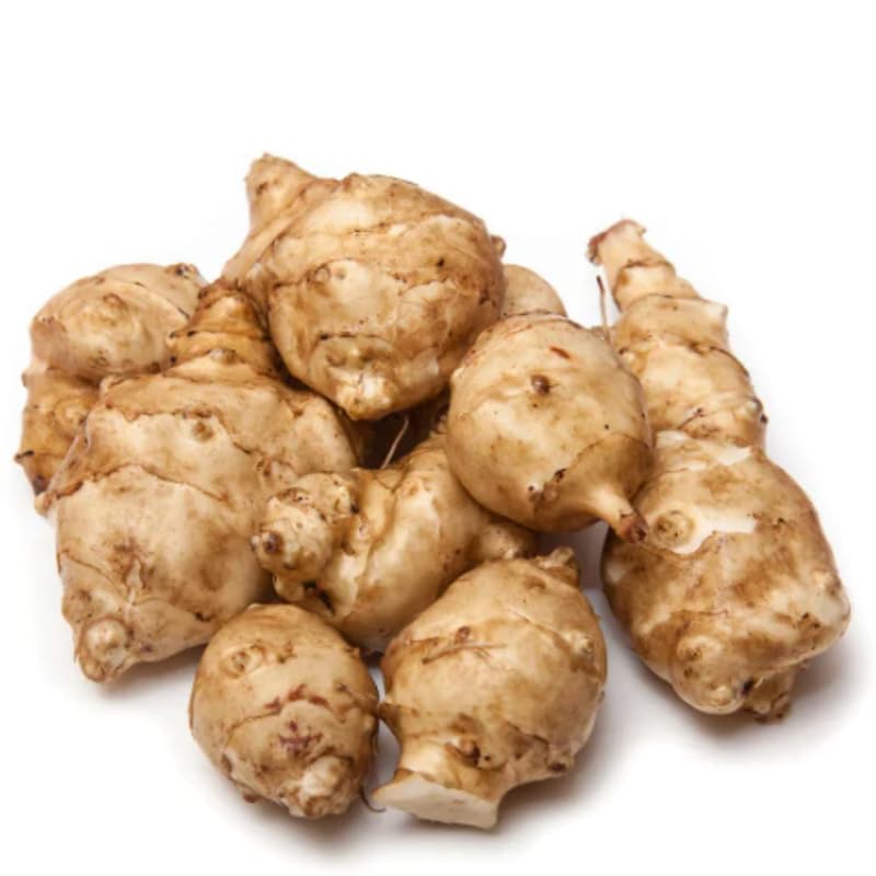 AVERAR Jerusalem Artichoke Roots for Planting - 5 Count - image 2