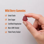 Nordic Naturals Zero Sugar Vitamin D3 1000 IU Gummies - 60 Count - image 4