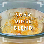 Elderwise Golden Sea Moss Raw Wildcrafted Gracilaria - 2.5oz - image 3