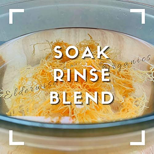 Elderwise Golden Sea Moss Raw Wildcrafted Gracilaria - 2.5oz - image 3