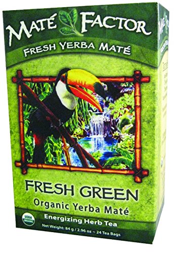 Maté Factor Original Fresh Green - 24 Count