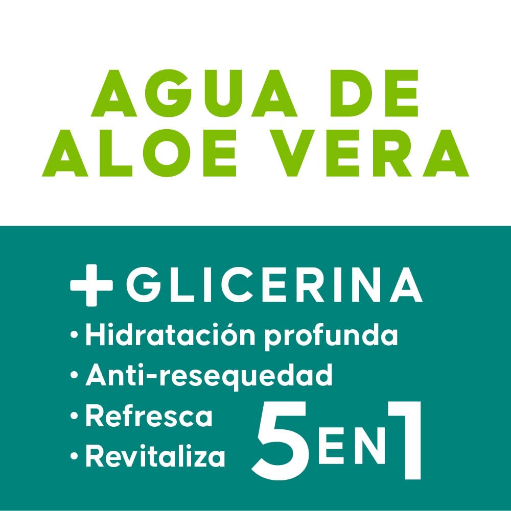 Jaloma Agua De Aloe Vera Liquid - 250 mL - image 4