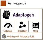 ORGANIC INDIA Ashwagandha Powder Organic Herbal Supplement - 1lb - image 6