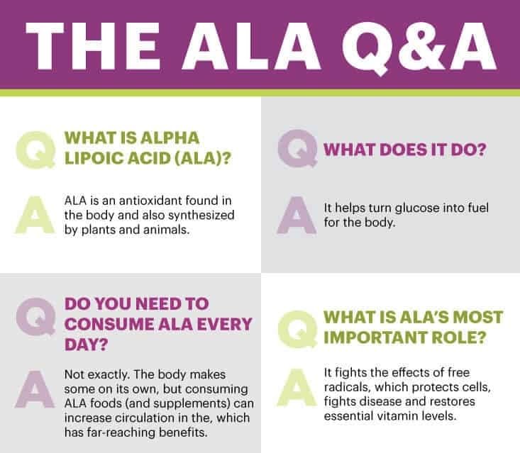 ThisNThat Alpha Lipoic Acid 200mg Antioxidant - 200 Capsules - image 6