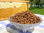 Generic Organic Bee Bread Perga Naturally Fermented Pollen - 50g - image 3