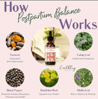 Earthley Wellness Postpartum Balance Herbal Supplement - 2 Fl Oz - image 3