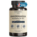VINATURA Akkermansia Probiotic Supplement - 60 Capsules