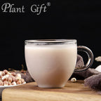 Plant Gift 100% Pure Euryales Powder - 100g - image 6