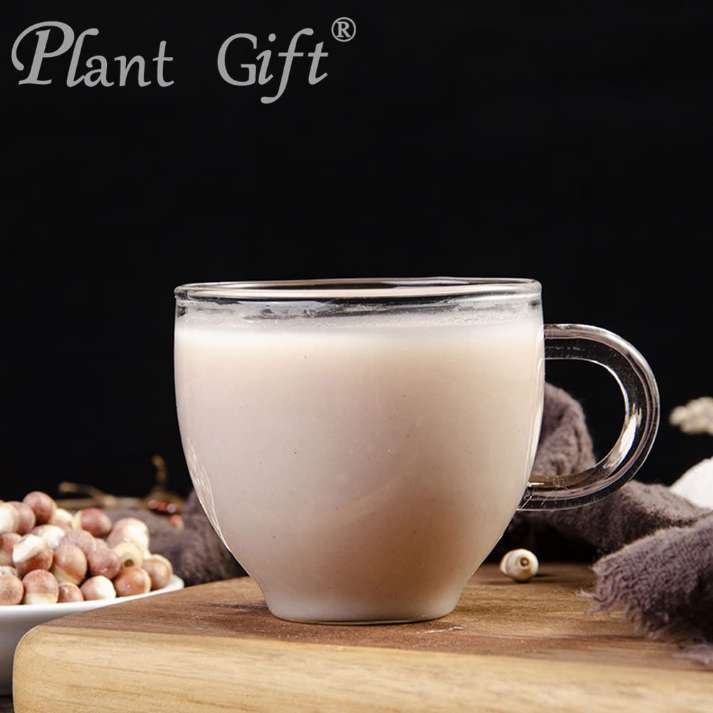 Plant Gift 100% Pure Euryales Powder - 100g - image 6