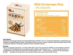 Wai Yuen Tong Wild Cordyceps Plus Immune Support - 60 Capsules - image 4