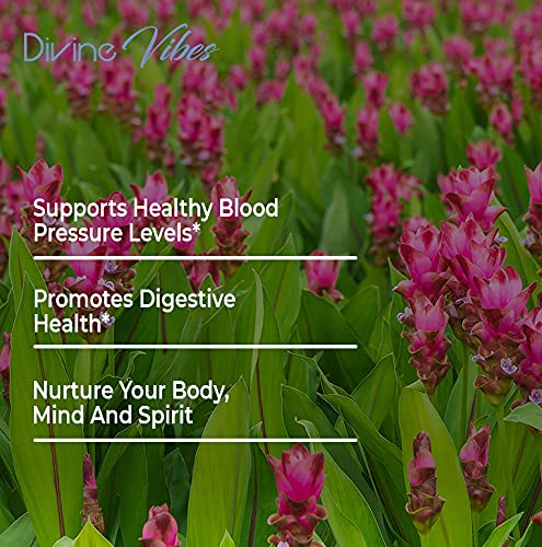 Divine Vibes Turmeric Curcumin with BioPerine Joint Support - 60 Capsules - image 4