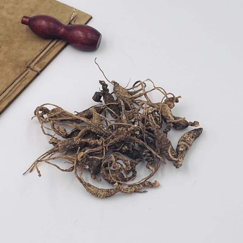 Xi Ge Ge Wisconsin Wild Ginseng Root 15 Years - 57 Grams - image 3