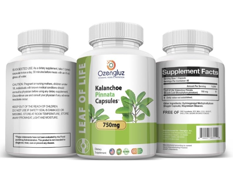 Ozengluz Kalanchoe Pinnata Leaf of Life Capsules - 60 Count - image 3