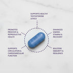 Purity Products Men's Perfect Multi Multivitamin - 90 Tablets - image 3